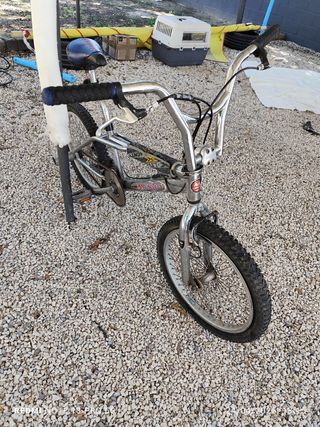 BMX Monty Free 301