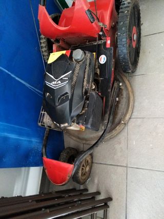 Cortacésped Púbert Xplorer