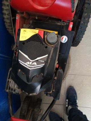 Cortacésped Púbert Xplorer