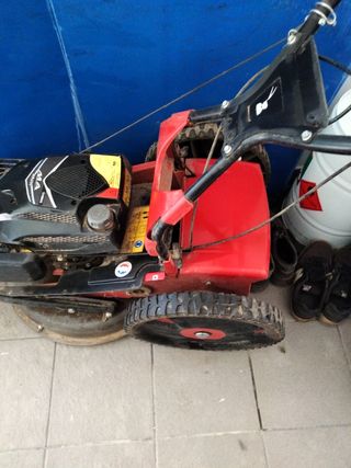 Cortacésped Púbert Xplorer