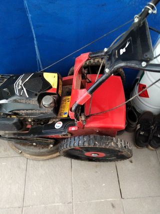 Cortacésped Púbert Xplorer