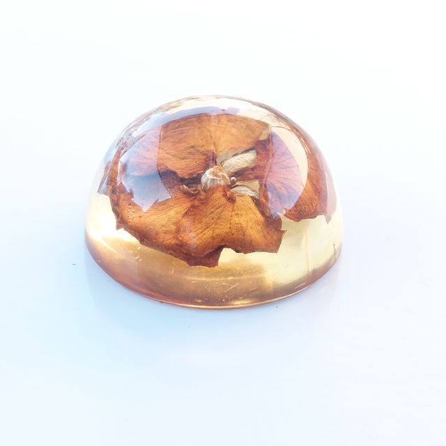 Adorno resina flor seca