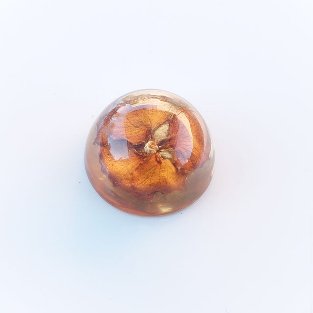 Adorno resina flor seca