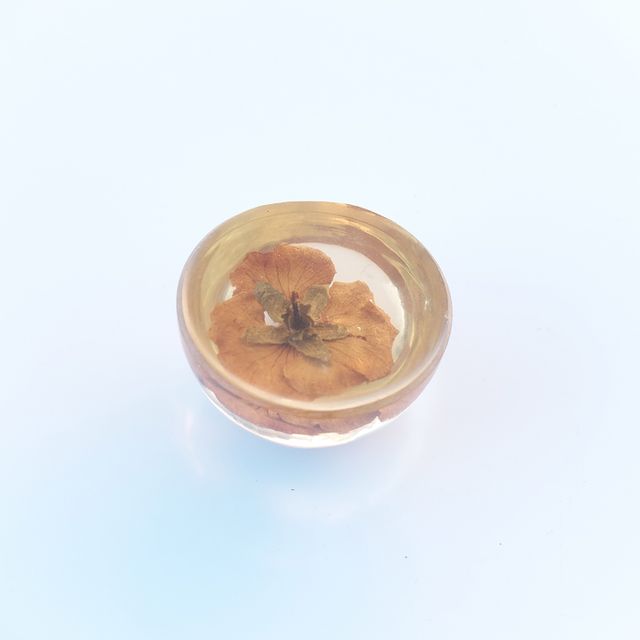 Adorno resina flor seca