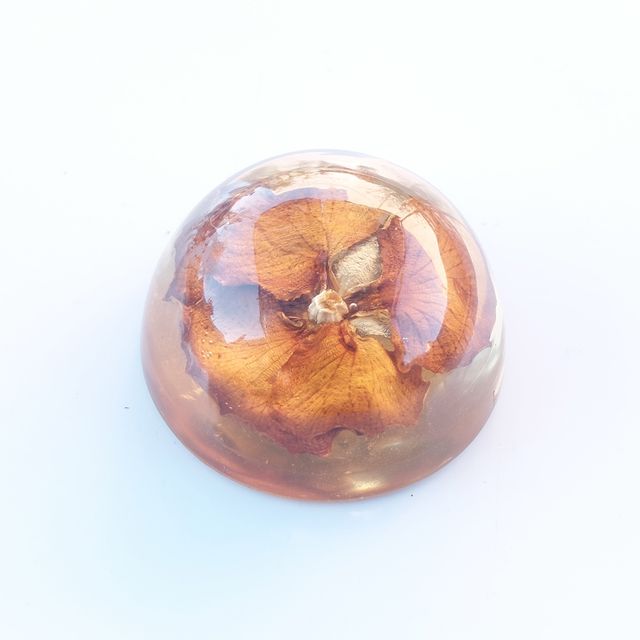 Adorno resina flor seca