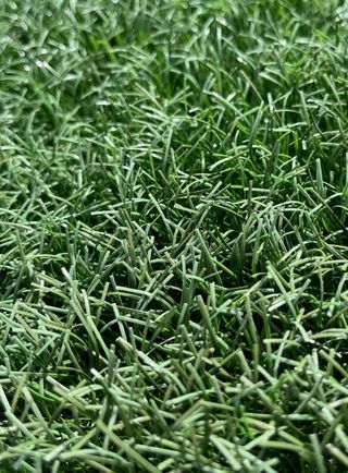 Cesped artificial