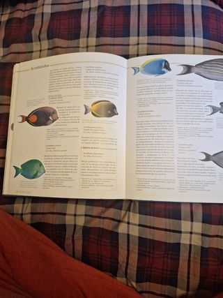 Atlas ilustrado del acuario (Spanish Edition)