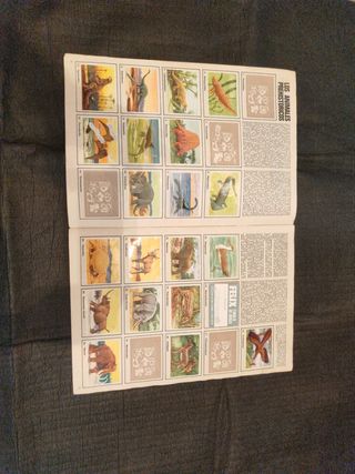 lote Colecciones álbum cromos antiguos vintage