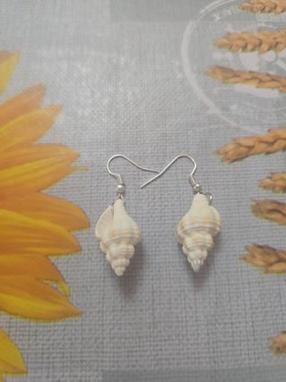 Pendientes echo.a mano de caracolas
