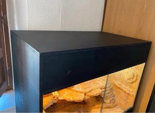 Terrario desértico completo