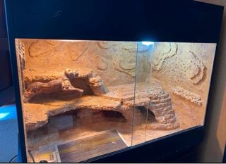 Terrario desértico completo