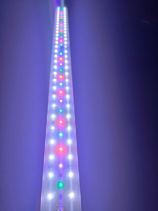 Panel LED RBG  Acuario plantado