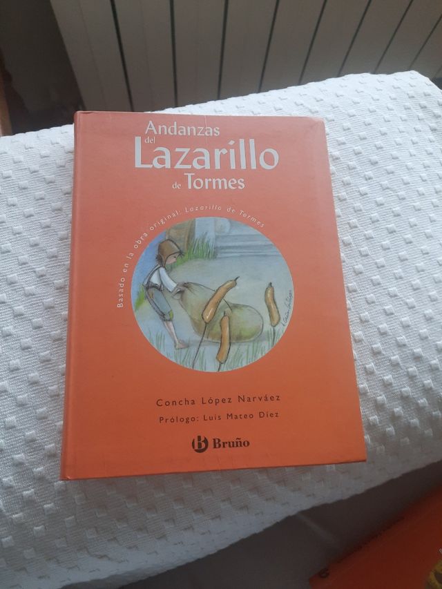 Andanzas del Lazarillo de Tormes (Spanish Edition)