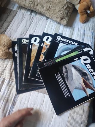 Revistas Antiguas.