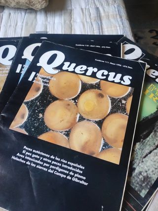 Revistas Antiguas.