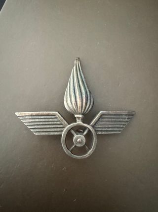 MILITARIA VINTAGE FREGIO METALLO TRAMAT 1970s