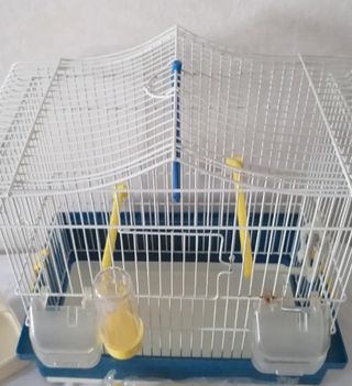 Gabbia uccelli bianca e blu