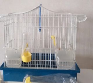 Gabbia uccelli bianca e blu