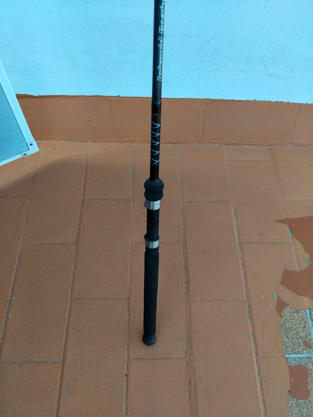 Caña de enbarcacion