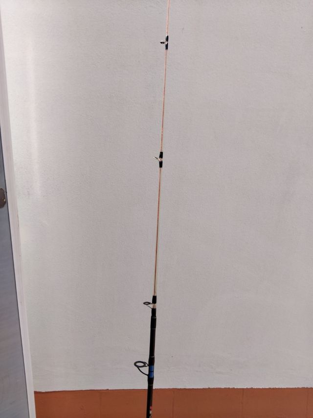 Caña de enbarcacion