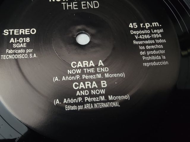 Vinilo The End