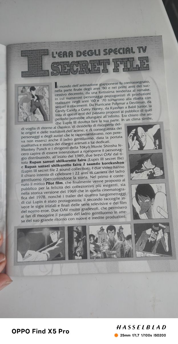Libricino Lupin 