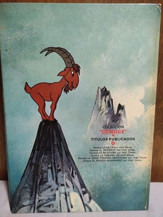 Conoce la montaña con Walt Disney 