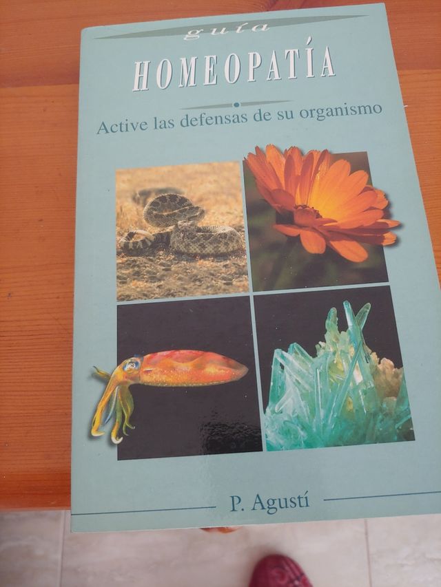 Homeopatía: active las defensas de su organismo