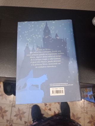 Princesa de los Hielos: Princesas del Reino de ...