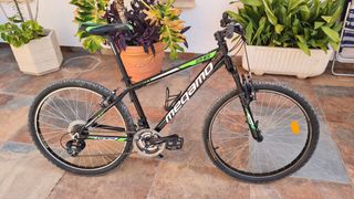 Bicicleta niñ@ megamo frame alloy 6061