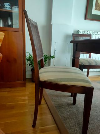Mesa comedor y 6 sillas