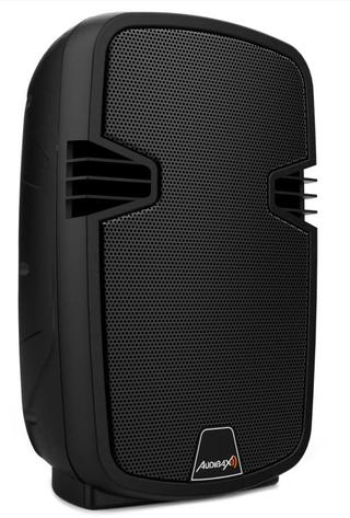 Altavoz Profesional Arkansas 10 Bluetooth y USB