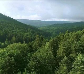 Terreno en venta en Valldoreix en Sant Cugat del Vallès