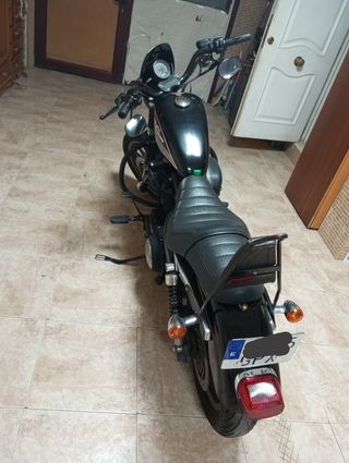 Harley davidson Sportster 883R