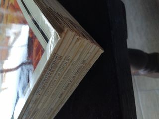 LOS TESOROS DE LA MÚSICA CLASICA. Sarpe. 17 vinilo