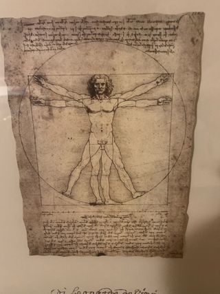 Cuadro Vitruvio Leonardo Da Vinci