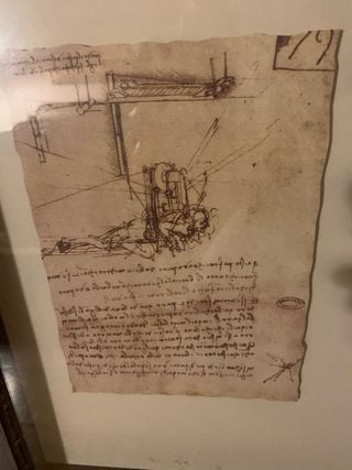 Cuadro Vitruvio Leonardo Da Vinci