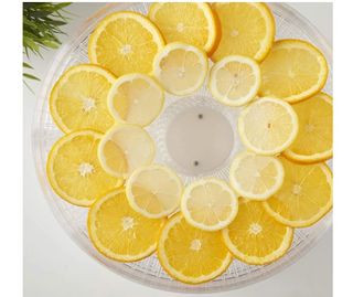 Deshidratados de alimentos 