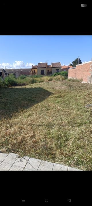 Trabajos desbroce y limpieza de parcelas