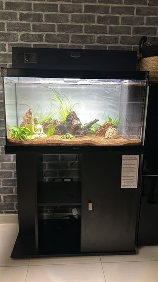 Acuario 150L con mueble