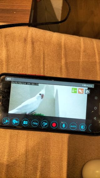 Cámara videovigilancia bebé DCS-825L