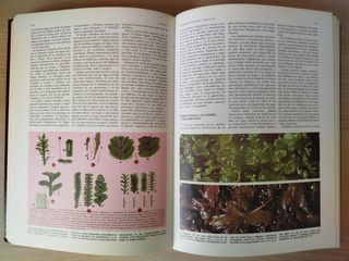 Enciclopedia Temática Asturiana