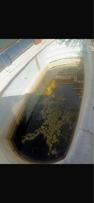 LECHADA Y REPARACION DE PISCINAS