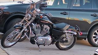 Harley Davidson Sportster 883 Custom 2006