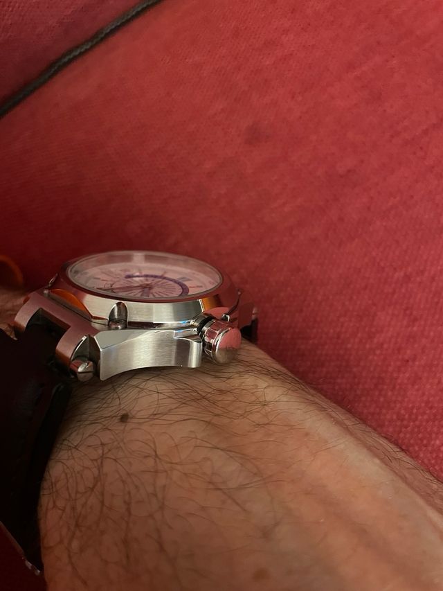 Anonimo Dino Zei Argonauta