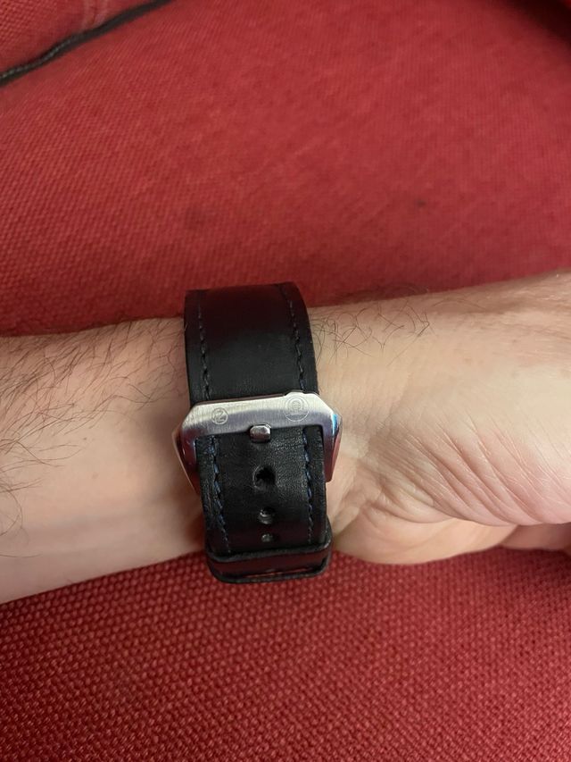 Anonimo Dino Zei Argonauta