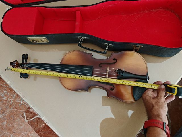 Violin
