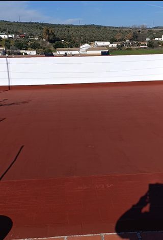 Pintura Almodóvar pidan presupuesto sin compromiso