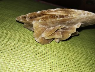 Minerale Rosa del deserto