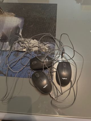 Ratones de ordenador